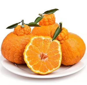 不知火丑橘  