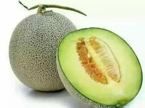 批发蜜瓜