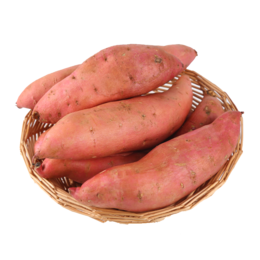 烟薯